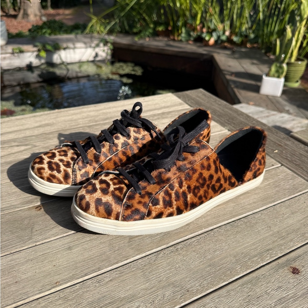 Freda Salvador Leopard Print Sneakers with Black Laces